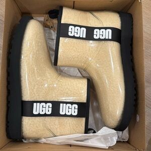 Ugg booties, never worn!